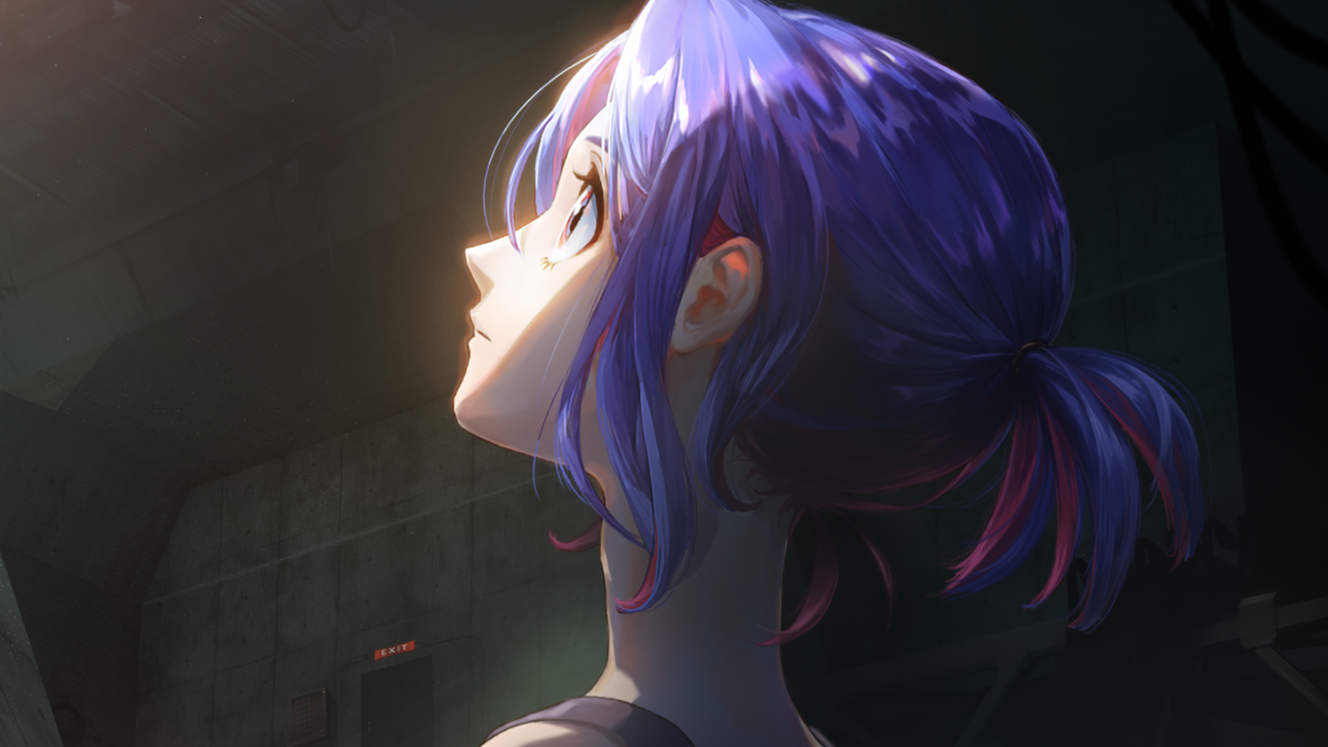 Episodio 11　　Alphacidas